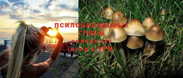 мескалин Надым